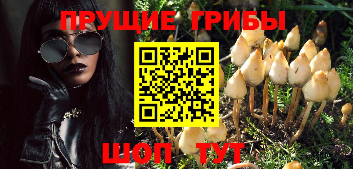 Галлюциногенные грибы Cubensis Моздок